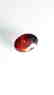 2.65ct Untreated Vivid Madagascar Red Garnet | VVS - 6