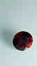 1.85ct Untreated Vivid Madagascar Red Garnet | VVS