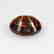 IGI Certified 4.67 Ct - Natural Loose Orangy Brown - 6
