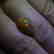 2.47 ct Oval Cabochon Opal - No Reserve Price - 4
