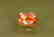 1.25 cts Extremely Rare Triplite Gemstone from Pakistan - 2