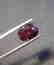 Rhodolite Garnet - 4.94 ct - 4