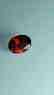 2.4ct Untreated Vivid Madagascar Red Garnet | VVS - 5