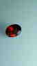 2.4ct Untreated Vivid Madagascar Red Garnet | VVS - 6