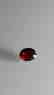 1.35ct Untreated Vivid Madagascar Red Garnet | VVS - 3