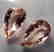Morganite pair - 5.28 ct - 4