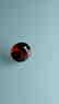1.6ct Untreated Vivid Madagascar Red Garnet | VVS