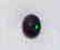 Black Opal bluish