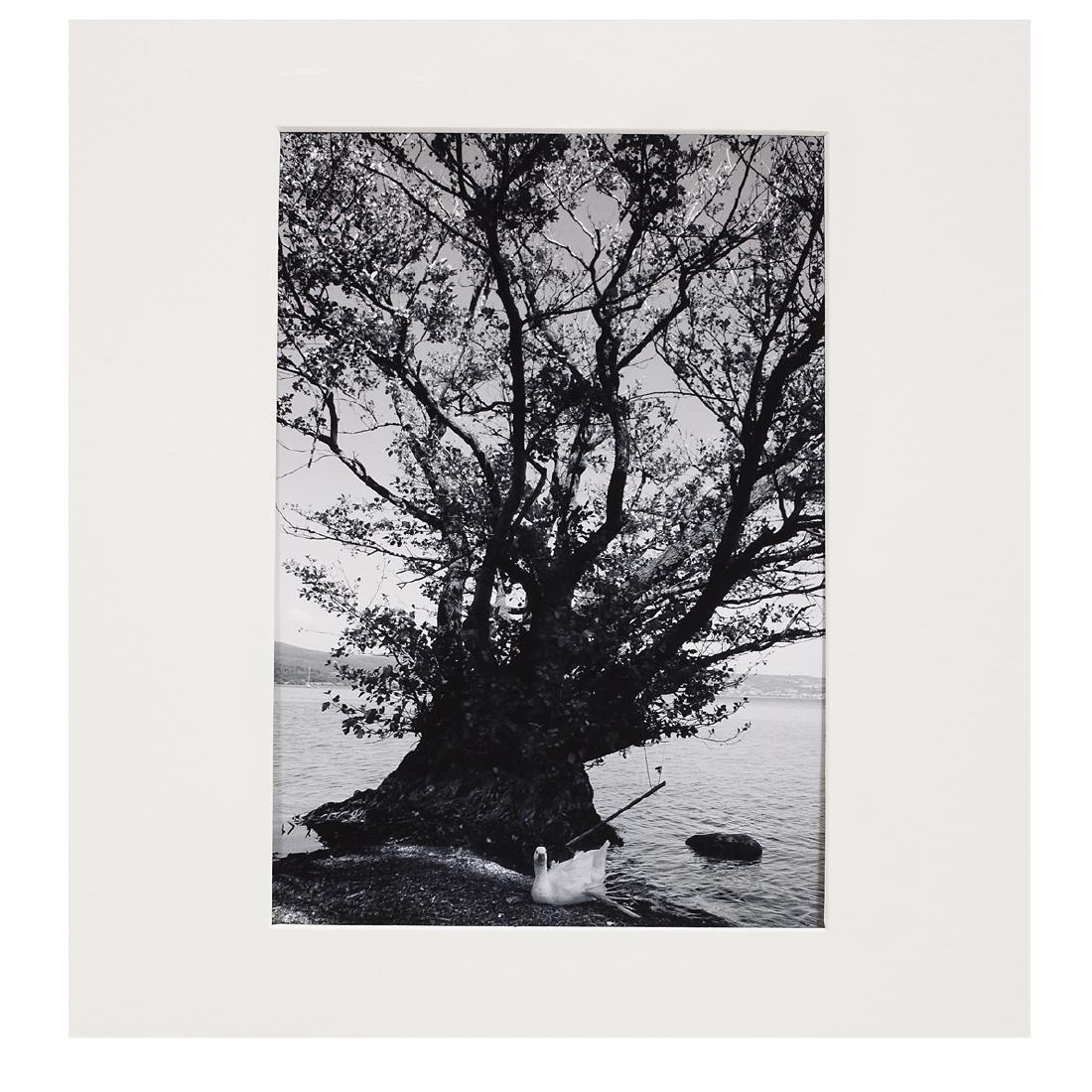 Greg Mascot (1975) Look at Me Signed Print: Greg Mascot (1975) Look at Me - The Guardian Prints & multiples - signed fine art prints 38cmx38cm 2x Fine art Inkjet prints on Ilford Gallery Pearl Paper (2017) 21cm x 29.7cm mat/passepartout about 3