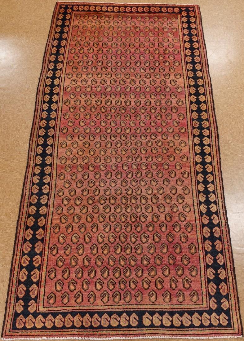 Persian Hamedan Hand Knotted Wool Rug 5.1x10.8 (1 of 10)