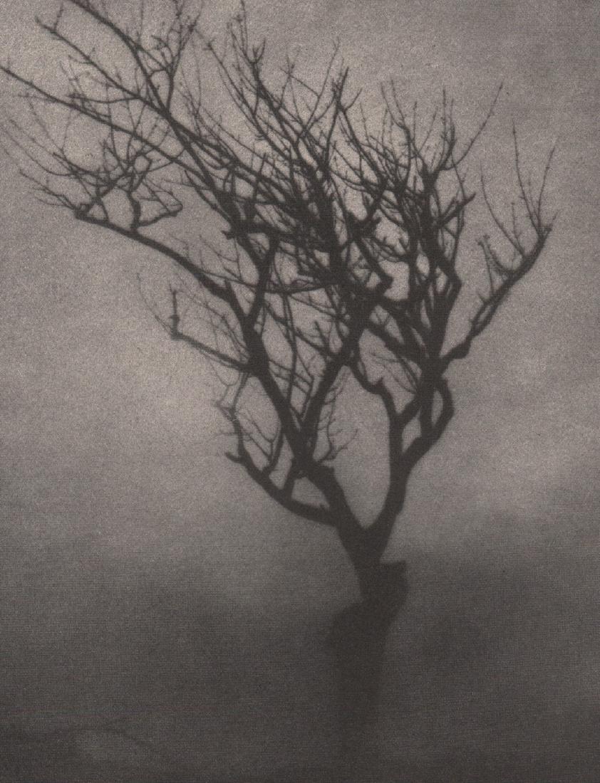 FELIX SCHLEISSNER- Herbstbaum: Artist: FELIX SCHLEISSNER Print Title: Herbstbaum Printing Date: 1933 Medium: Photoengraving Printed in: Austria Image Size: 8 x 6” Please note that this lot has a confidential reserve. When you lea