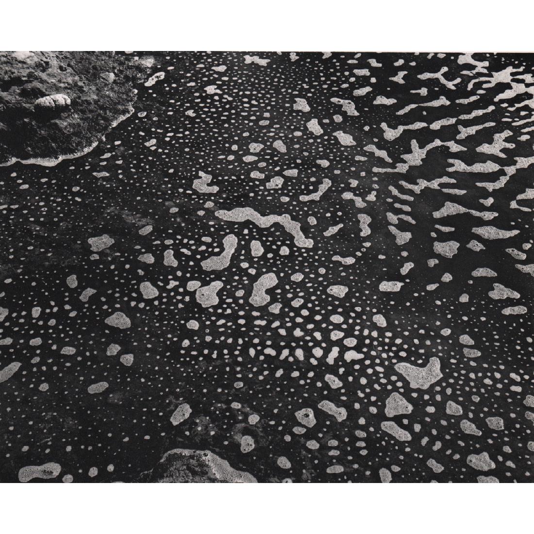 EDWARD WESTON - Foam and Sand: Artist: EDWARD WESTON Print Title: Foam and Sand Medium: Sheet-fed Gravure Printing Date: 1965 Printed in the USA Image Size: 9.25 x 7.5 inches Edward Henry Weston (1886-1958) was a 20th-century Ameri