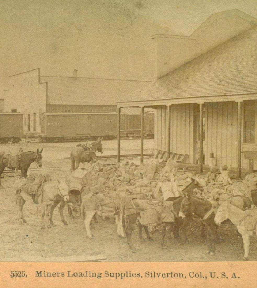 1880 Gold Miner Pack Burros Loaded Supplies at (1 of 3)