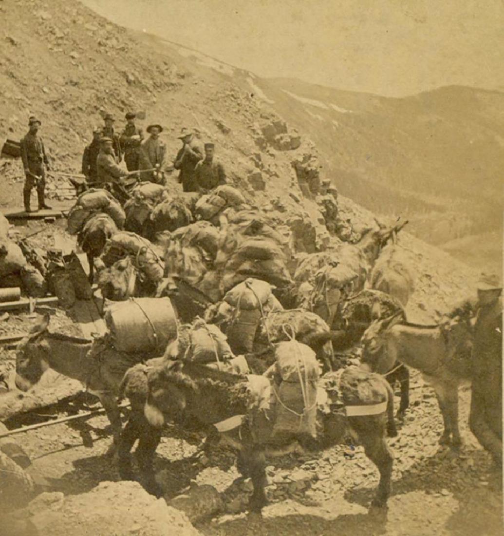 1880 Burro Pack Train Rocky Mountain Colorado, Gold (1 of 3)