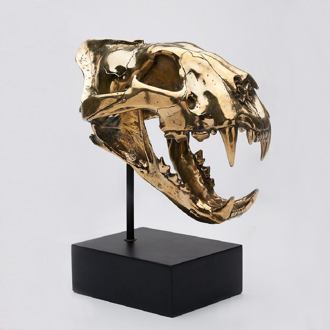 Sumatran Tiger Skull in Polished Bronze (1 of 10)