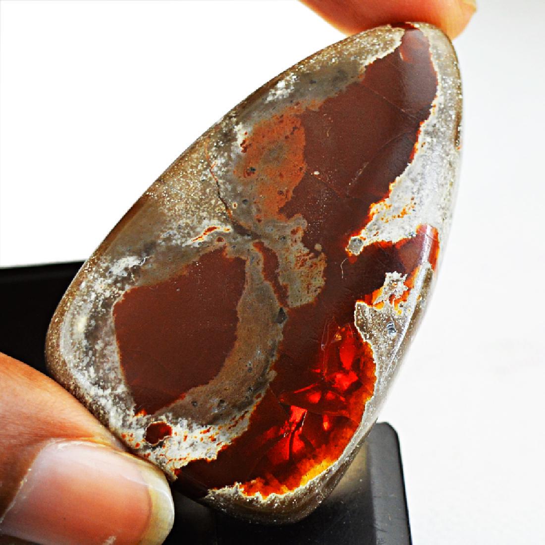 Genuine Mexican Opal Gem - Rare (1 of 1)