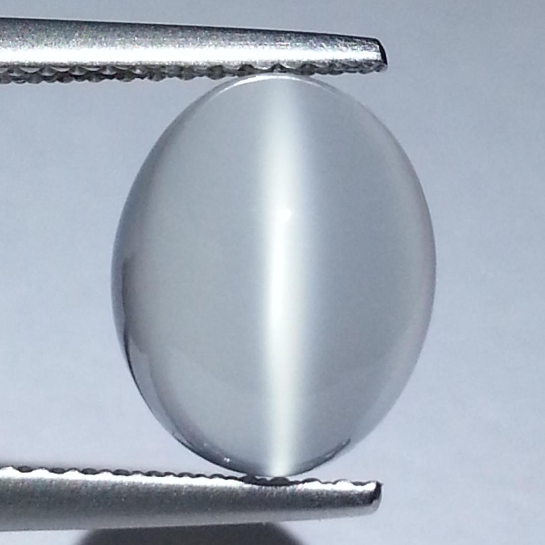 Cat's Eye Moonstone - 3.21 Ct (1 of 4)