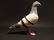 Cast Iron Folk Art Pigeon - 2