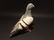 Cast Iron Folk Art Pigeon - 7