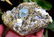 602 Gram top quality terminated and undamaged - 6