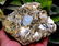 602 Gram top quality terminated and undamaged - 7