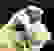 item-63192398=7