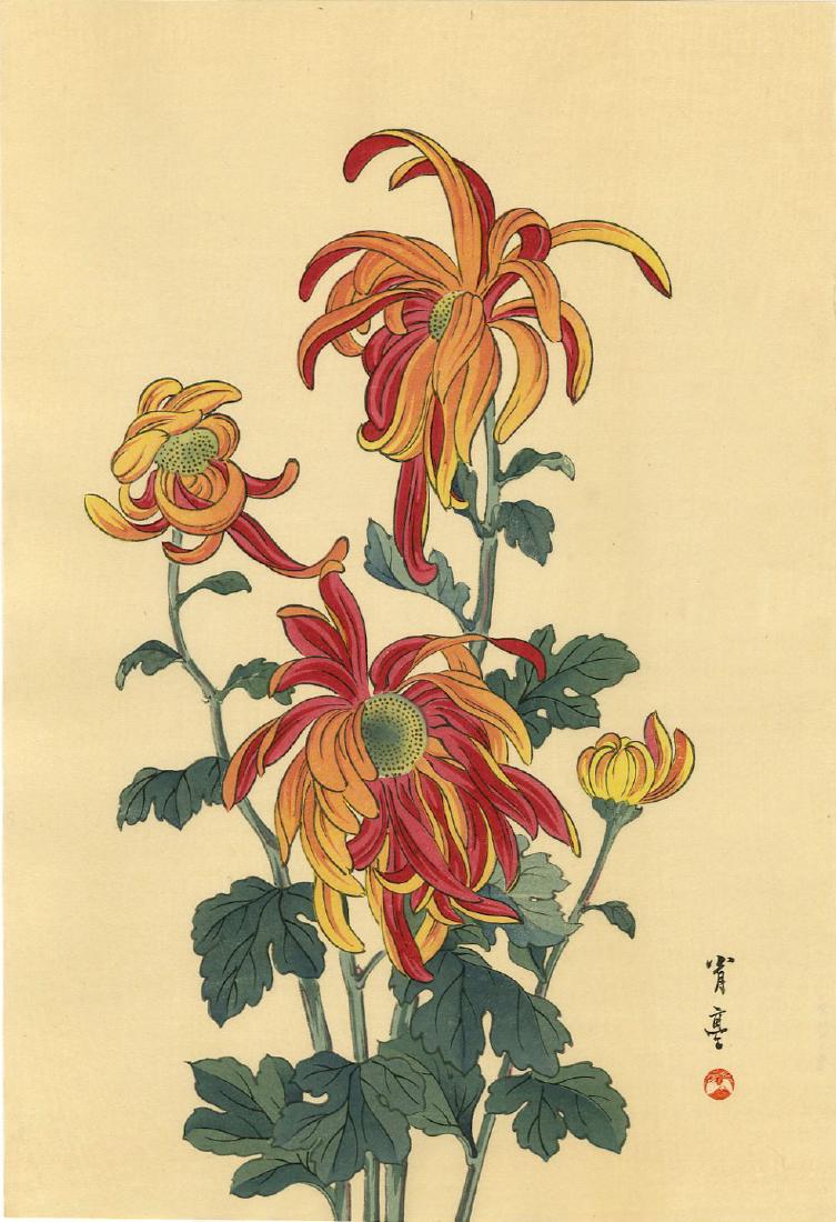 Seitei Watanabe Woodblock Red & Orange Chrysanthemum: Artist: Seitei Watanabe Title: Red, Orange & Yellow Chrysanthemum Publisher: Shima Art Co. Date: c. 1930 Medium: Japanese woodblock print Size: 10 x 15 inches Provenance: from the estate of Robert O. 