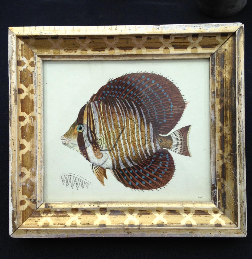 18thc Hand Colored Copperplate Engraving in a 19thc (1 of 2)