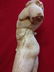 Male Naked Torso in Greek Marble Thassos and Base in - 4