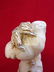Male Naked Torso in Greek Marble Thassos and Base in - 7