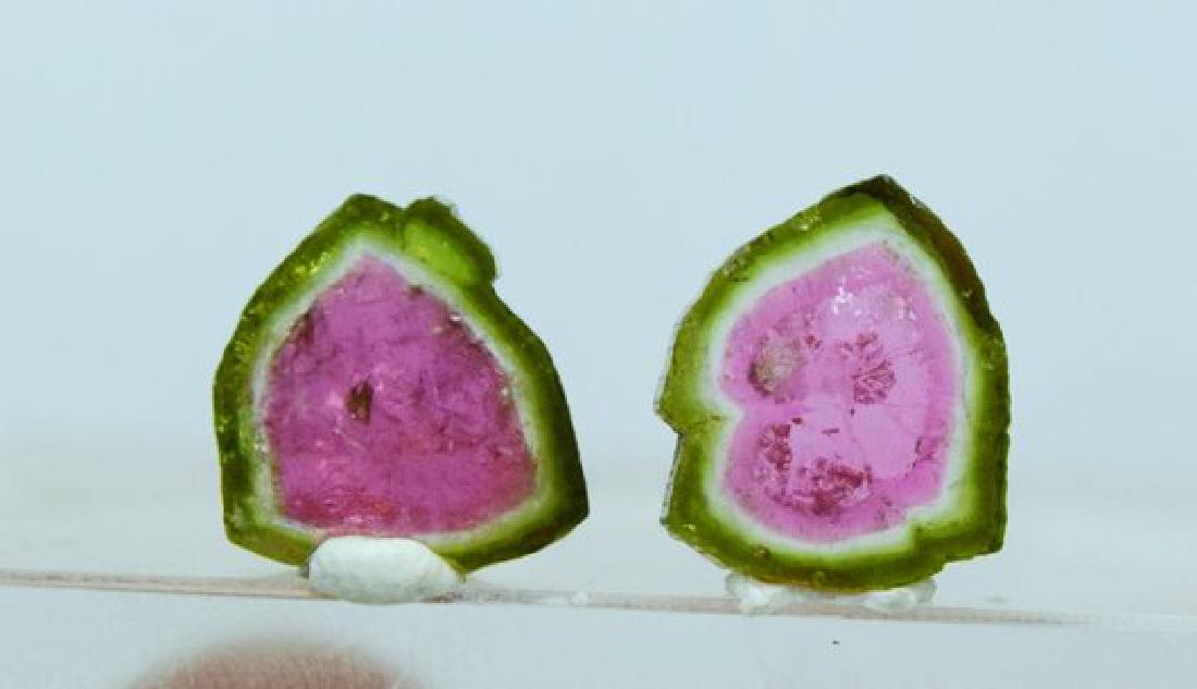 9.35 cts Complete & Undamaged Watermelon Tourmaline (1 of 6)