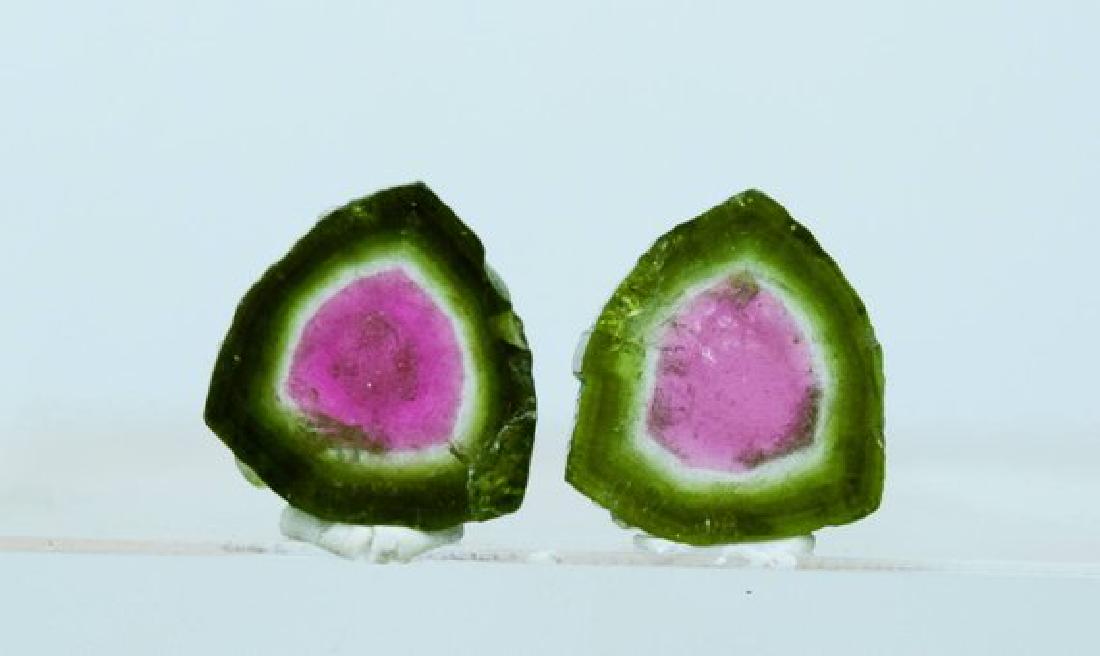 9.15 cts Complete & Undamaged Watermelon Tourmaline (1 of 7)