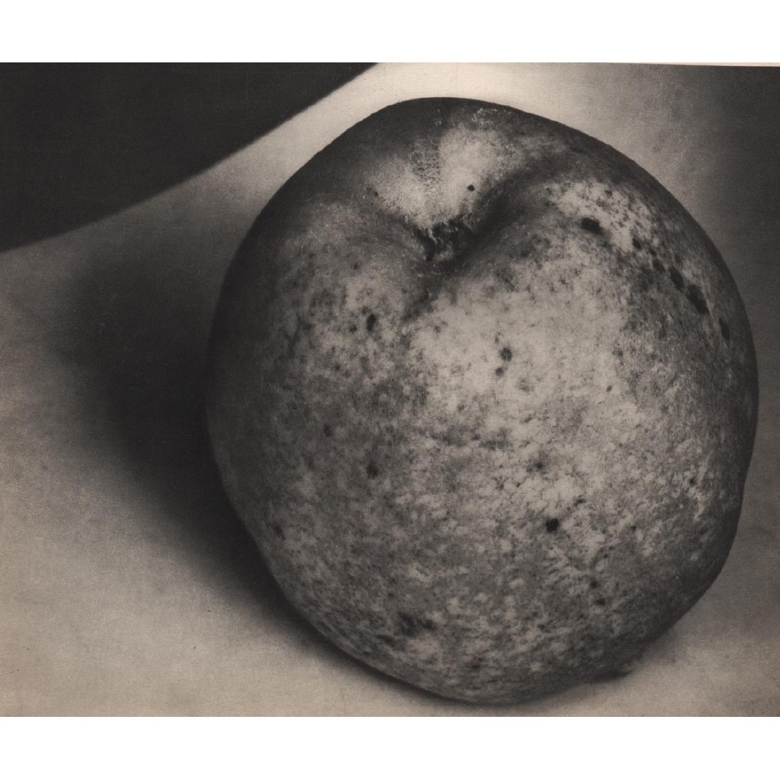 EDWARD STEICHEN - Apple: Artist: EDWARD STEICHEN Print Title: Apple Medium: Sheet-fed Gravure Printing Date: 1930's Printed in France Image Size approx: 9 x 7.25 inches Edward Jean Steichen (1879-1973) was a Luxembourg Americ