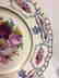 Antique Bavarian Floral Decorated Dessert Plates, 1900 - 5