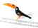 Figurine of toucan the bird hand blown glass 16x8 cm