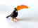 Figurine of toucan the bird hand blown glass 16x8 cm - 4