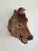 Studio Wild Boar Taxidermy Head With Wall Mounting Hook