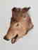 Studio Wild Boar Taxidermy Head With Wall Mounting Hook - 5