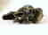 Vintage statue bronze Rhino Serpentine shpere ø80mm - 7