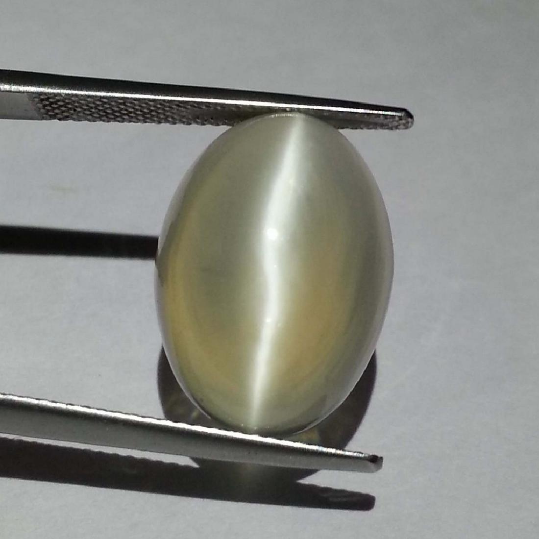 Green Moonstone Cat's Eye - 15.10 ct: Item: Green Moonstone Cat's Eye - 15.10 ct Loose gemstone Color/Clarity: VVS - VS Carat Weight: 15.1 Size/Dimensions: 18.40 x 13.20 x 8.30 Oval - Srilanka No Reserve: This lot starts at $1 and has no