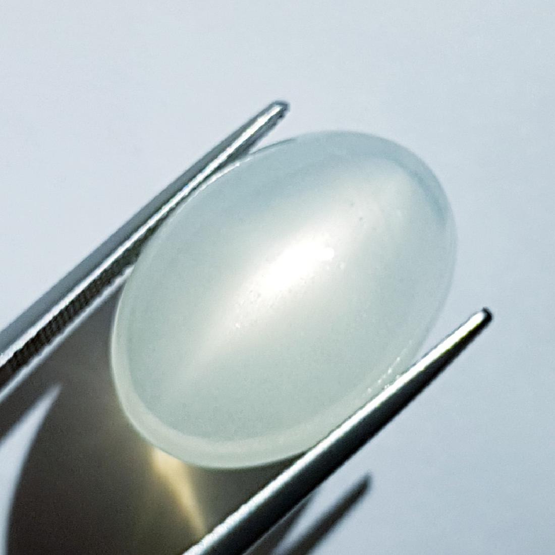 White Moonstone Cat's Eye - 19.37 ct (1 of 4)