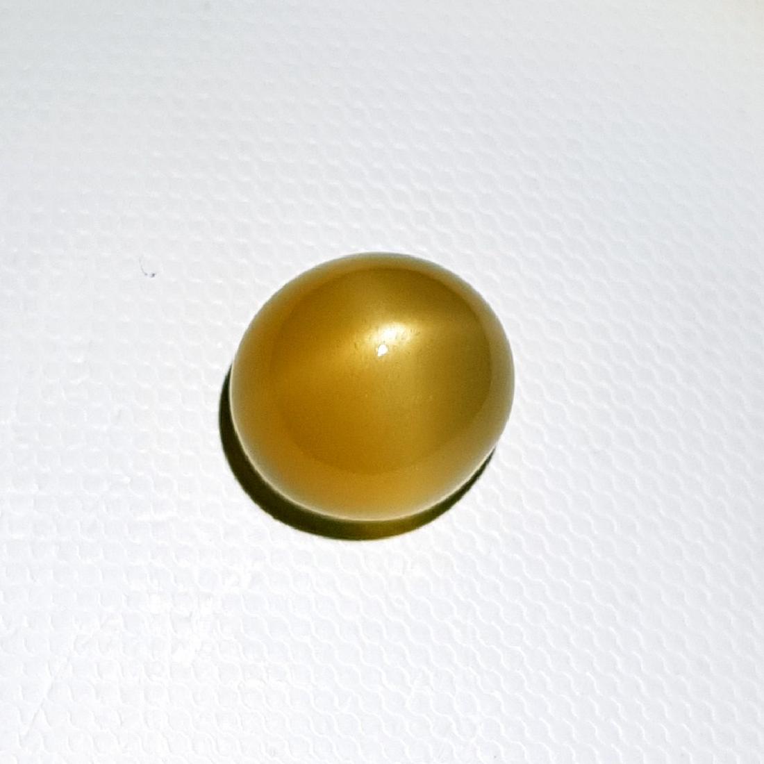 Green Gold Star Moonstone - 12.54 ct (1 of 4)