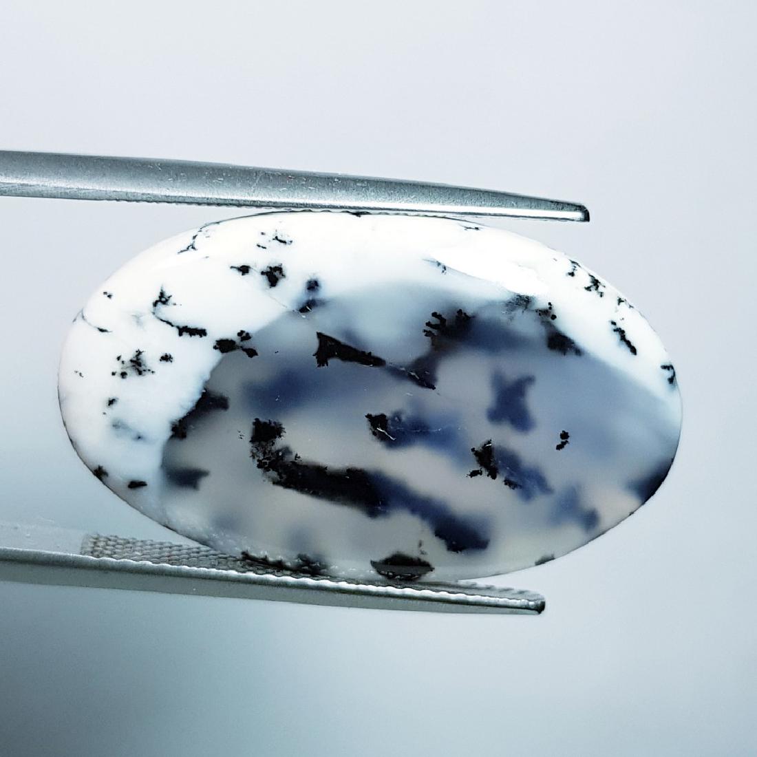 Dendritic Opal - 21.94 ct (1 of 4)