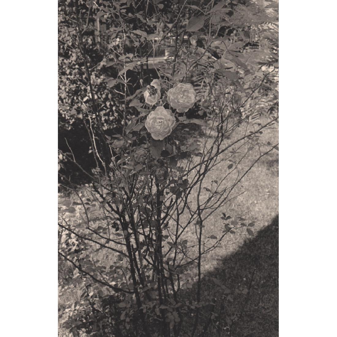 LEE FRIEDLANDER - Fort Lee, New Jersey, 1972: Artist: LEE FRIEDLANDER Print Title: Fort Lee, New Jersey, 1972 Medium: Photo-engraving on heavy matte art paper Printing Date: 1980's Printed in the USA Image Size: 7.25 X 11 inches Lee Friedlander (