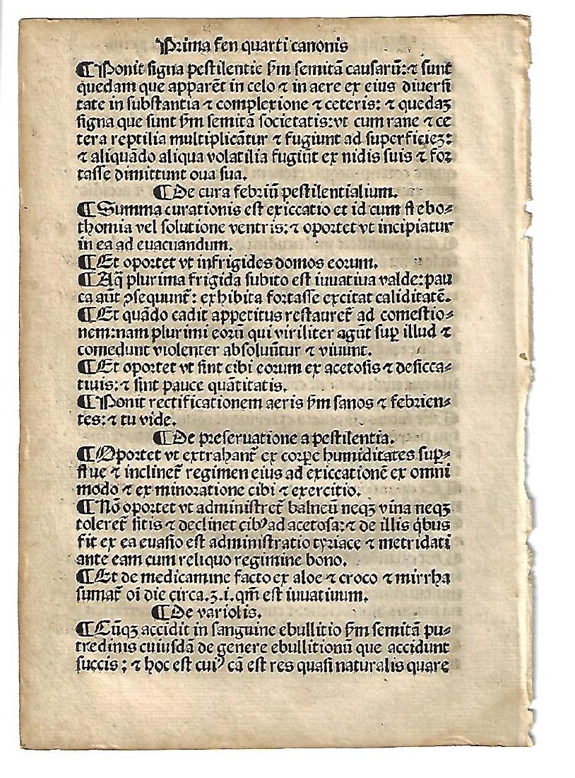 1508 Leaf Medicine Canons of Avicenna (1 of 1)