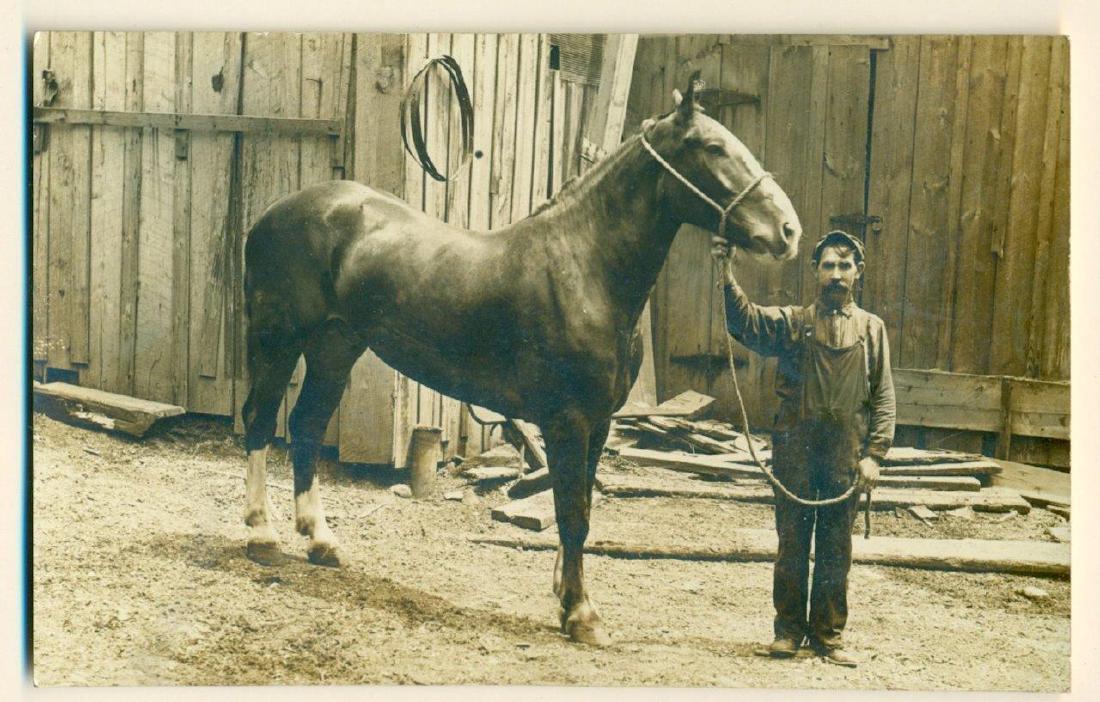 VINTAGE c 1910 OCCUPATIONAL STABLE WORKER DWARFED BY (1 of 2)
