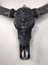Skull Art - authentic water buffalo skull in matte - 4