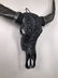Skull Art - authentic water buffalo skull in matte - 9