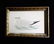 C1840 Hand Colored Seagull Engraving Gold Leaf Frame