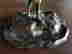item-63667124=3